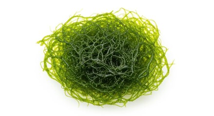 Vibrant green algae macro photography studio shot isolated on white background