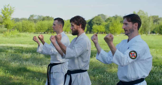 Three male karate practitioners training simultaneously. Three young karatekas train on the grass.