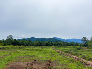 Serene landscape with lush green field and majestic mountains