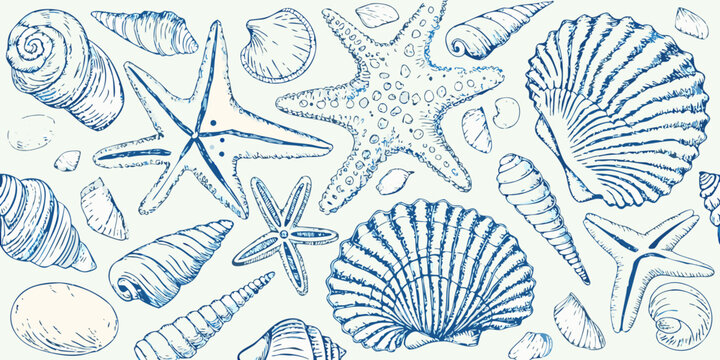 A delicate blue sketch featuring various seashells and starfish patterns