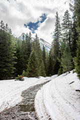Mountain landscape near Demyanitsa hut in springtime during snowmelt. Route in fir forest against Gazei peak. Demyanishka river eco trail, Pirin national park, Bulgaria.