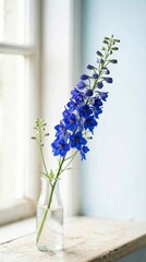 Delphinium blue flower tall calm luxury floral trend 2026 perennial hope symbol purple elegant bouquet modern floral arrangement soft hues minimalist soothing tones decorative pastel floral design wit