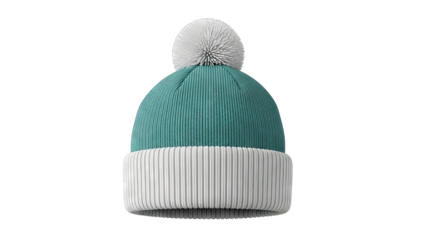 Teal and White Pom Pom Beanie