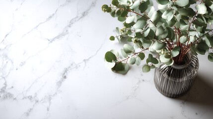 Eucalyptus branches in glass vase on marble surface