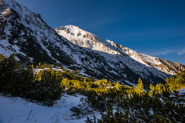 Winter evening in Pirin mountains near Vihren hut. Vihren peak and pine forest at the foot of it under clear blue sky.