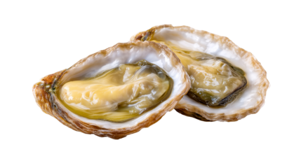 Oysters Freshly shucked oysters, glistening and succulent, are presented, offering a taste of the sea's finest delicacies. Capture the freshness and exquisite textures of the ocean's treasure.