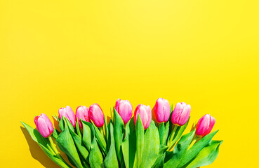 beautiful spring background with red tulips on yellow