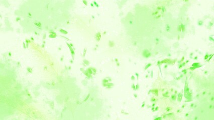 Fototapeta premium Abstract Green Background with Bubbles.
