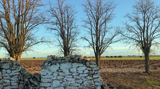 BANDADA DE GRULLAS VOLANDO SOBRE CAMPOS