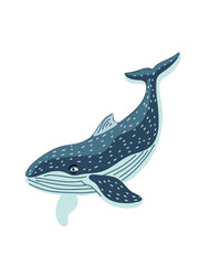 adorable joyful whale isolated on white background