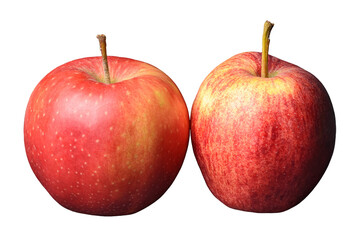 Apples, Malus, isolated on transparent png or white background