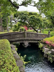 Fototapeta premium japanese garden bridge