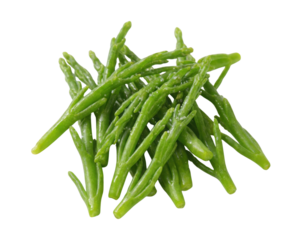 A small pile of fresh, green samphire, also known as sea asparagus. The succulent, segmented stalks have a salty coating.