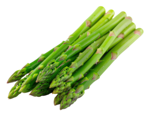 A fresh bunch of vibrant green asparagus spears with dewy water droplets, ready for cooking.