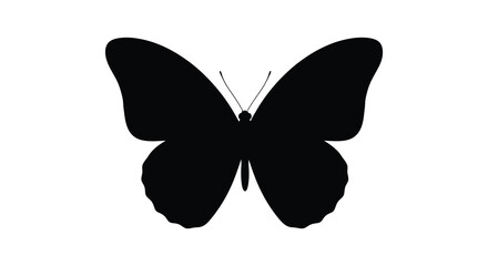 A stark black silhouette of a butterfly on a white background © CreativeAlim02