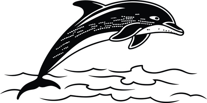 dolphin stylized silhouette vector illustration
