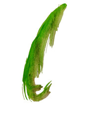 A minimal abstract green vintage brush strokes forming elegant transparent PNG elements for contemporary design.