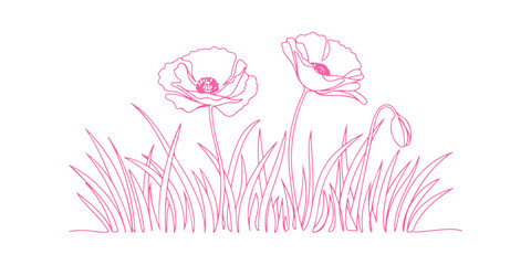 Fototapeta premium Poppy flowers depicted in a continuous line art drawing style. 