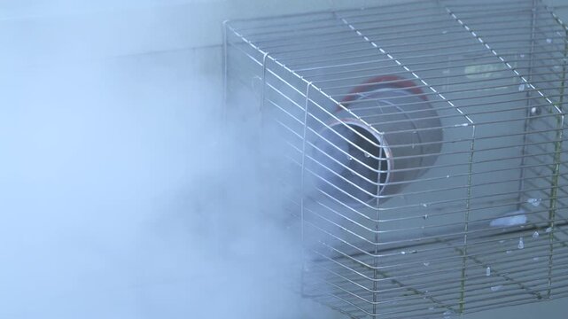 4K: Outside Oil Boiler in Winter emitting Plumes of Steam from the flue pipe. Votex boiler exterior outdoors in cold Weather. Stock Video Clip Footage.