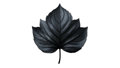 A close-up illustration of a stylized, monochrome leaf against a black background