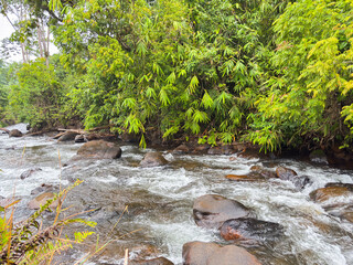 Serene river flowing through lush green forest with large rocks