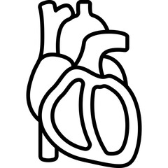 Heart Anatomy Human Organ Line Icon: Biology and Medical
