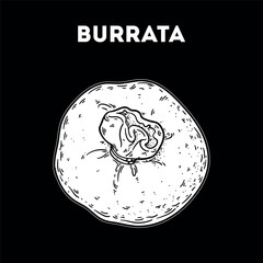 Burrata sketch. Vector drawing illustration. Italian food. Italian cuisine. Hand drawn. Top view. Not AI Generated.