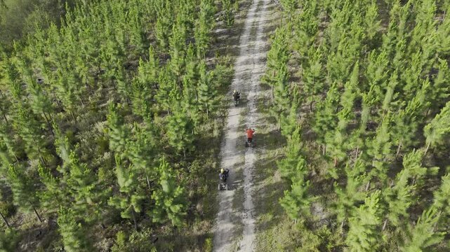 Drone hovers as camera pans up with scooters to reveal a pine tree forest at base of the Tsitsikamma Mountains on a sunny day in Stormsrivier, Eastern Cape, South Africa