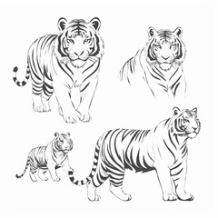 tiger vector illustration