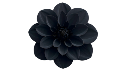 A top-down view of a dark, stylized dahlia flower against a stark black backdrop
