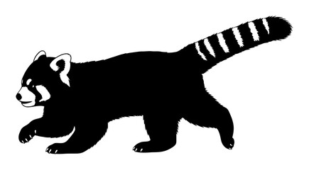 Red Panda Silhouette - Minimalist Vector Illustration © Tharindu