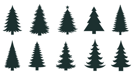 Collection of diverse evergreen tree silhouettes, pine and fir trees representing nature on an isolated white background. © Kebo