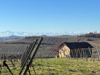 casotto tra le vigne invernali