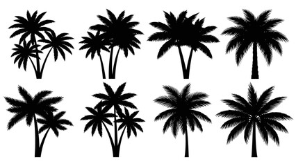 Obraz premium Set of Black Palm Trees Silhouettes with Tropical Vibe on Isolated White Background