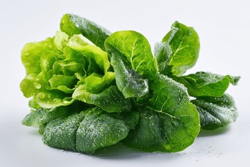 Close-up of fresh leafy vegetables showing crisp edges and rich greens