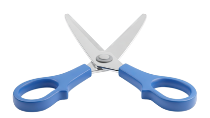 Blue Handle Scissors
