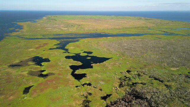 Aerial view of the bright green and brown vegetation meeting the darker blue water of Lake Okeechobee, Lake Okeechobee, Florida, United States.