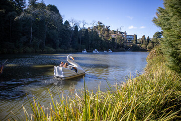 Swan paddle boat on Black Lake in Gramado Brazil with visitors enjoying nature and calm waters