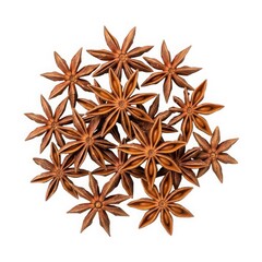 Collection of star anise spices