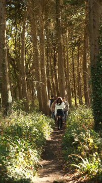 A group of people are walking through a forest. Scene is peaceful and serene, as the group is surrounded by trees and nature