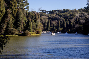 Swan paddle boat on Black Lake in Gramado Brazil with visitors enjoying nature and calm waters
