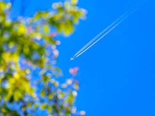 快晴の青空に浮かぶ飛行機と新緑の葉