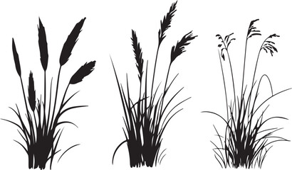 Vector illustration of a black grass silhouette and green plant leaves isolated on white, featuring a floral nature design with summer wheat stems and spring bamboo branches for decorative art