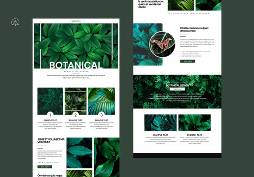 Botanical News Letter Design Template