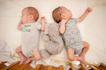 Two identical twin infants wearing dinosaur patterned bodysuits are sleeping peacefully in their crib with a soft stuffed animal between them during the day