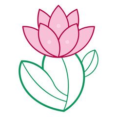 Obraz premium cactus pink flower line art on white background