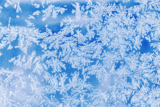 Close-up pattern of intricate frost patterns on a windowpane. Delicate crystalline ice formations, known as frost flowers, created by deposition in cold winter conditions