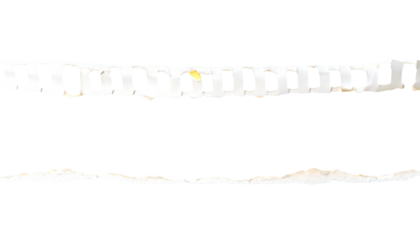 A torn strip with evenly spaced holes and irregular edges, isolated against a black backdrop