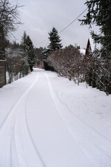 winter road in the village