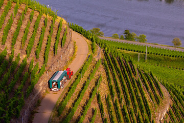 Traktor mit Anhänger in den Weinbergen an der Mosel